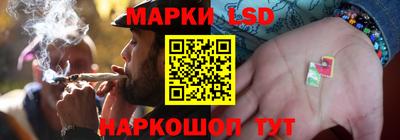 спайс Берёзовский