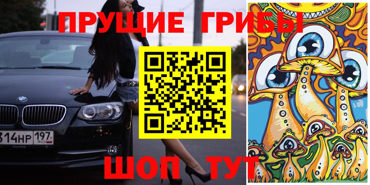 Ипатово  закладка  Вход с VPN  Галлюциногенные грибы Psilocybe 