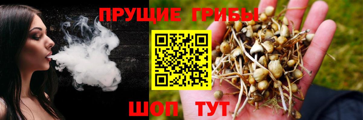 Псилоцибиновые грибы Psilocybe Ипатово